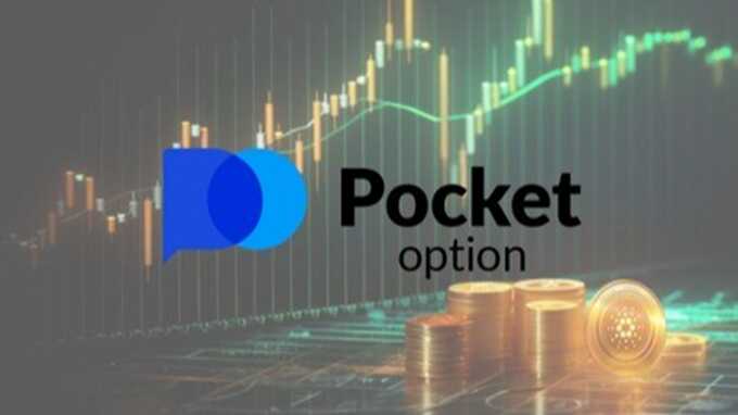 Discover the Features of the Pocket Option Platform Discover the Features of the Pocket Option Platform