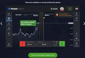 Is Pocket Option Regulated A Comprehensive Overview Is Pocket Option Regulated A Comprehensive Overview